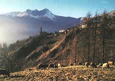 Click for enlargement (34Kb)